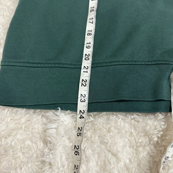 Carhartt Women's Tencel Fiber Series Loose Fit Sleeve Graphic Sweatshirt Balsam - Picture 8 of 11